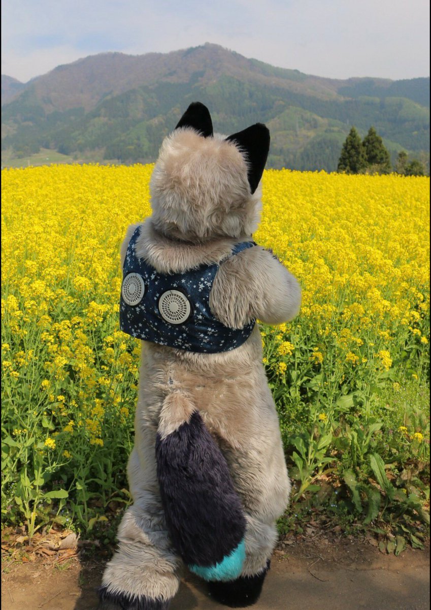 MTagu01's tweet photo. @fugakubear ｷｭｰｷｭｰ(*´ω｀*) https://t.co/3QW7Wbi9yQ