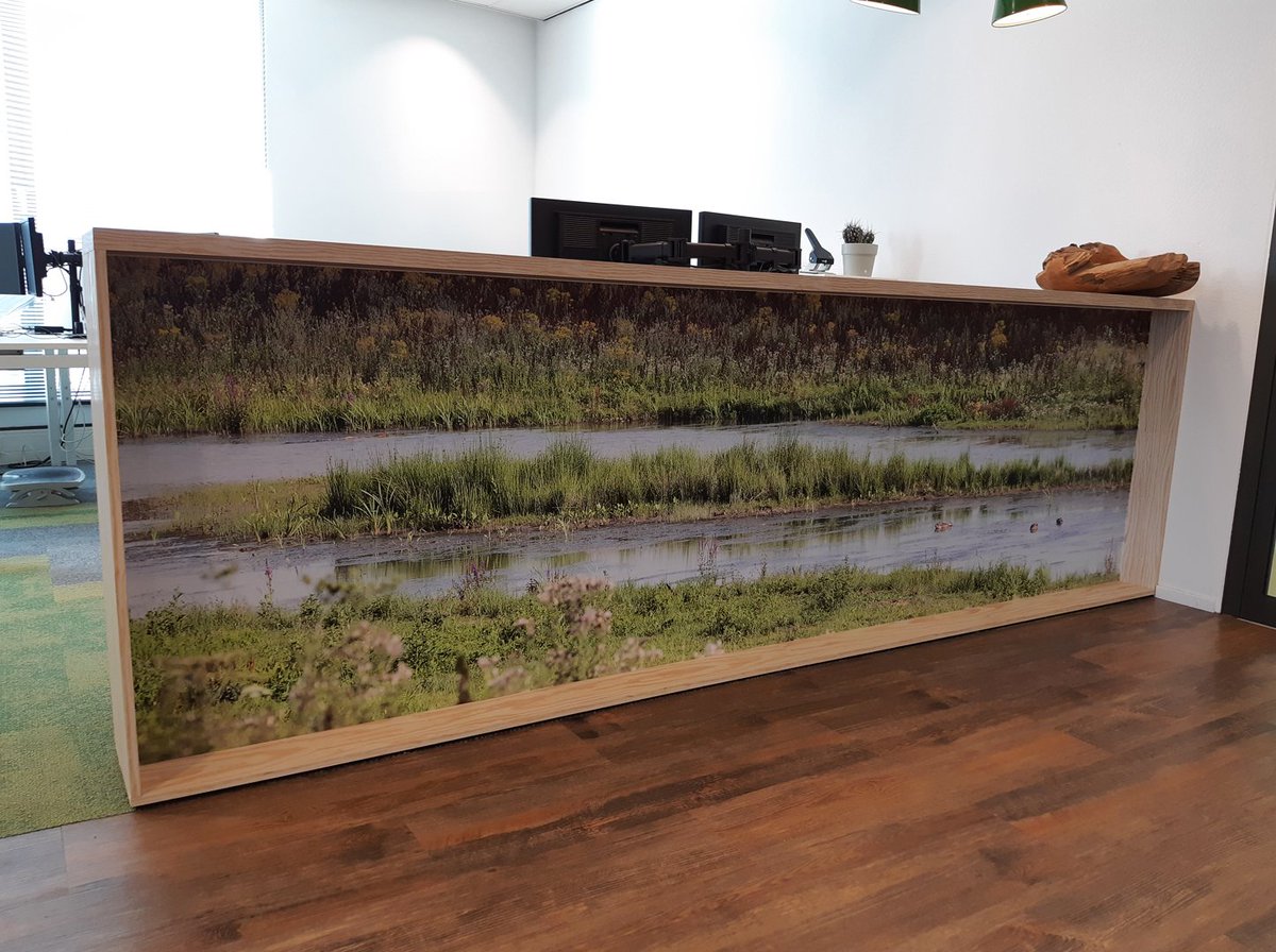 Quaform's tweet photo. Enige tijd geleden hebben wij de aankleding van de bedrijfsruimte van @btladvies in ‘s-Hertogenbosch van mooie visual mogen voorzien.

#sign #signing #signmaker #glasfolie #crystalfolie #wandprint #wandbekleding #textielframe #peesdoek #interieursigning #kantoordecoratie #visuals https://t.co/VNwVEdk5yU