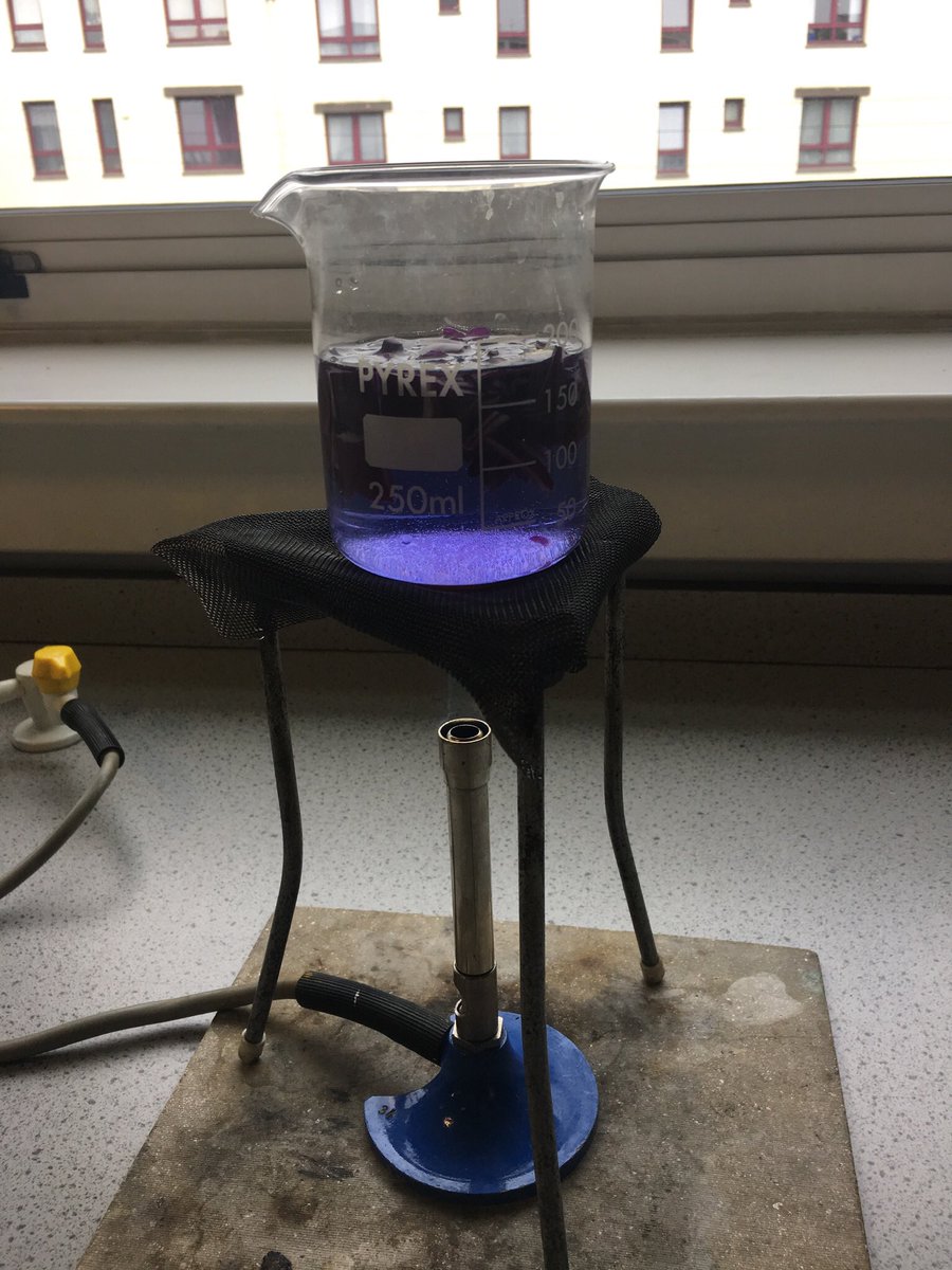 MrsWyllieToD's tweet photo. Today @St_Rochs, our visiting P7 pupils experimented with a pH indicator made from red cabbage π€ They tested different substances and noted if they were acids or alkalis. Cool! One induction day down, primary 7, and one to go! #P7toS1 #transition #science #PreparingForAugust https://t.co/0c86YiLHKt