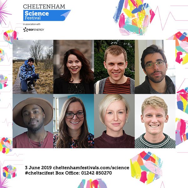 Cheltenham Festivals tweet media