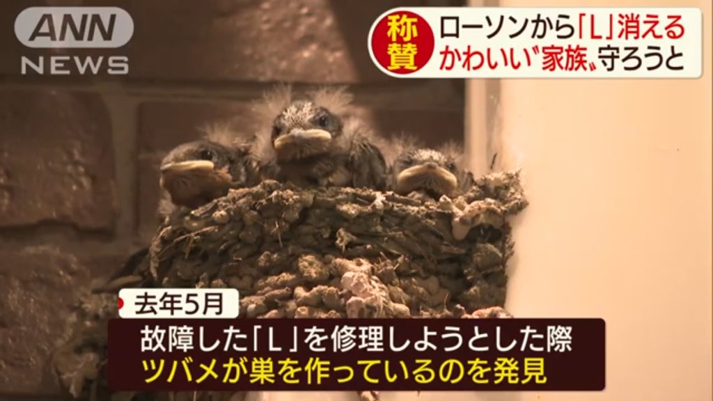 บูม JapanSalaryman|New!คอร์สบริหารเวลาสไตล์ญี่ปุ่น tweet media