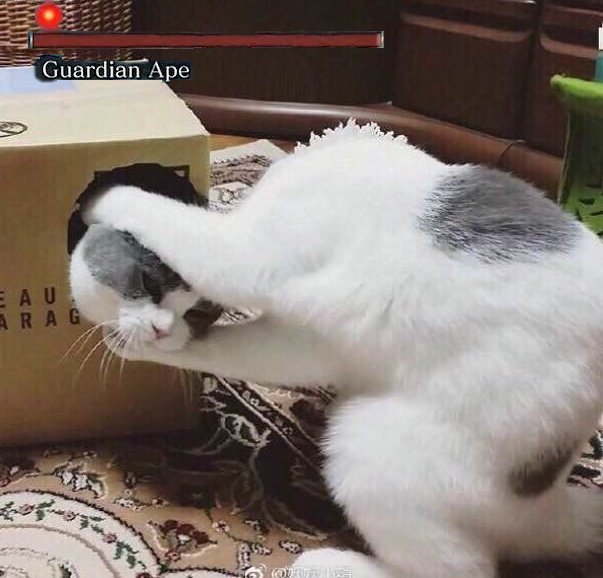 D7vcVX5XkAAxxb8?format=jpg&name=small