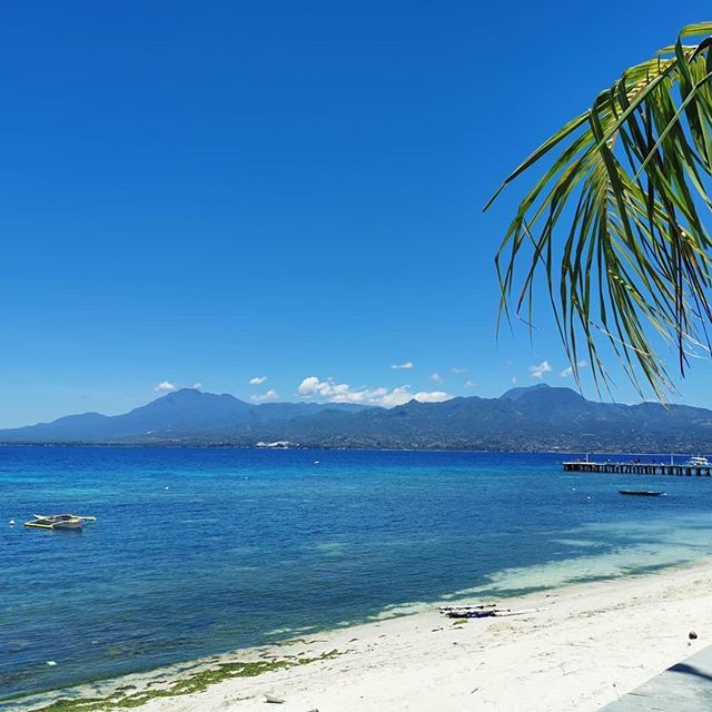 HeyMsAdventures's tweet photo. In Negros Oriental with the fambam today! https://t.co/qdEuxQpc7r https://t.co/C0xAdmMFUU
