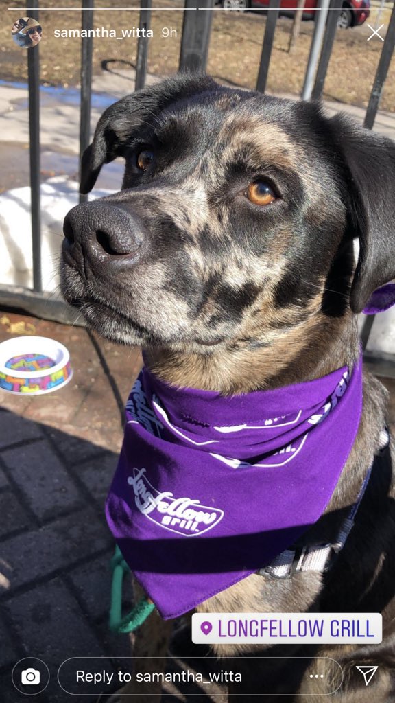 d_freckles's tweet image. Come join us on the patio 🐶☀️🌤
#longfellowgrill  #patiolife