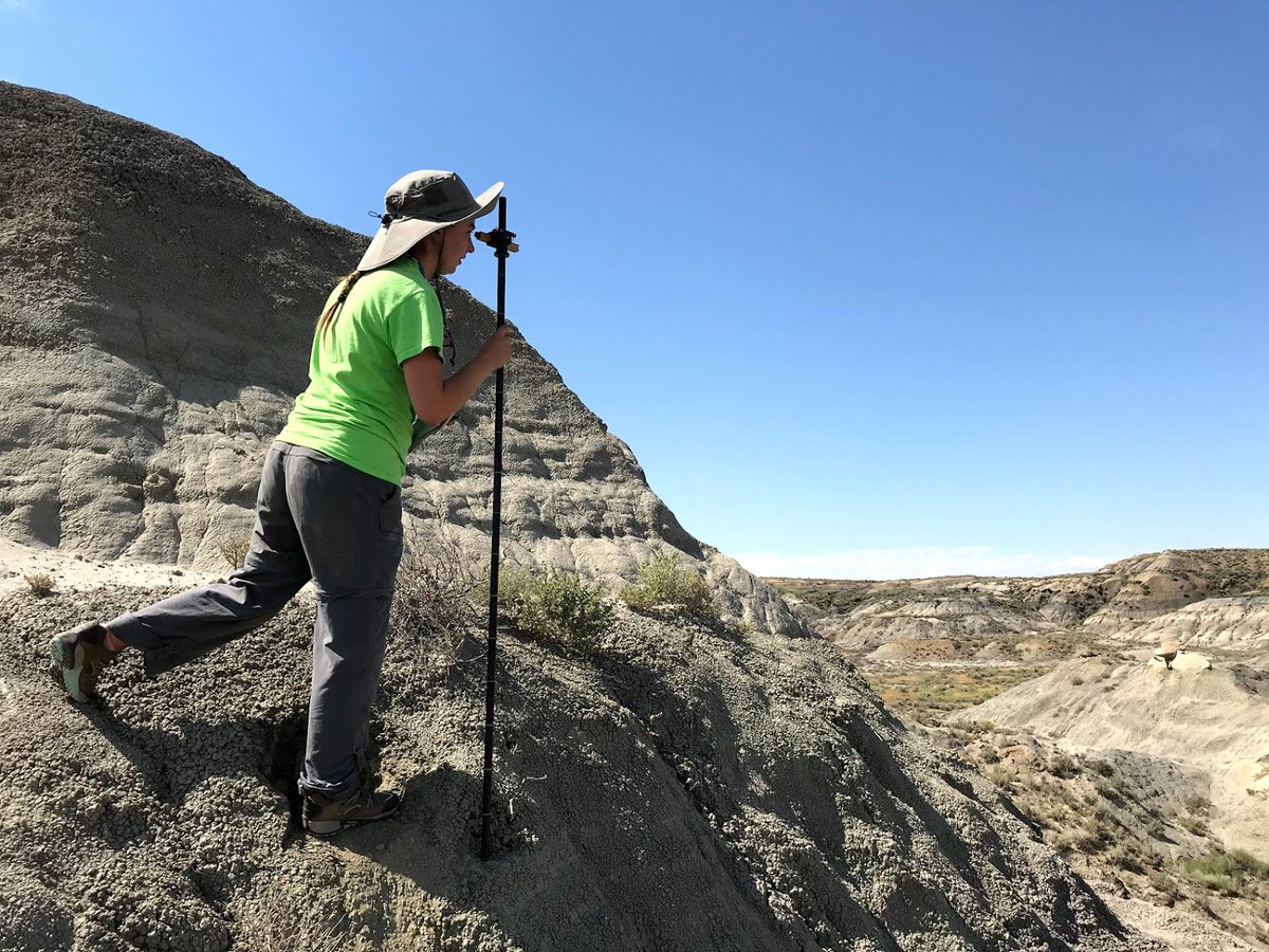 It's not all #fossils at the DIG! Sedimentology/stratigraphy are critical aspects of #paleontology #fieldwork . Here are some DIG participants learning how to measure the distance of their fossil localities to the K-Pg boundary #10YearsOfDIG #GeologyRocks