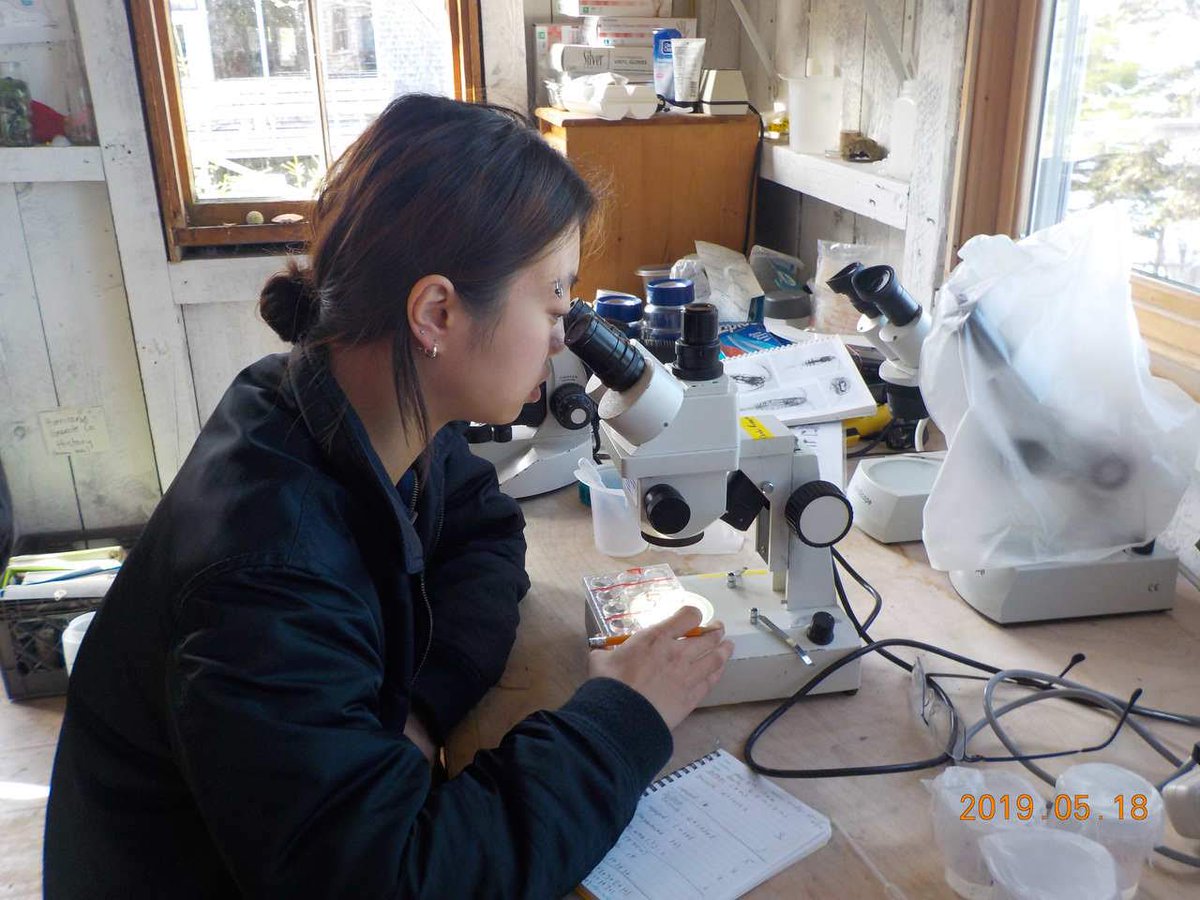 HurricaneIslnd's tweet photo. Another blog post is up, written by island educator Lilla Fortunoff about her experience working with students from @WeAreCSW. https://t.co/ADMytHXK5Q https://t.co/V4ehfZElss