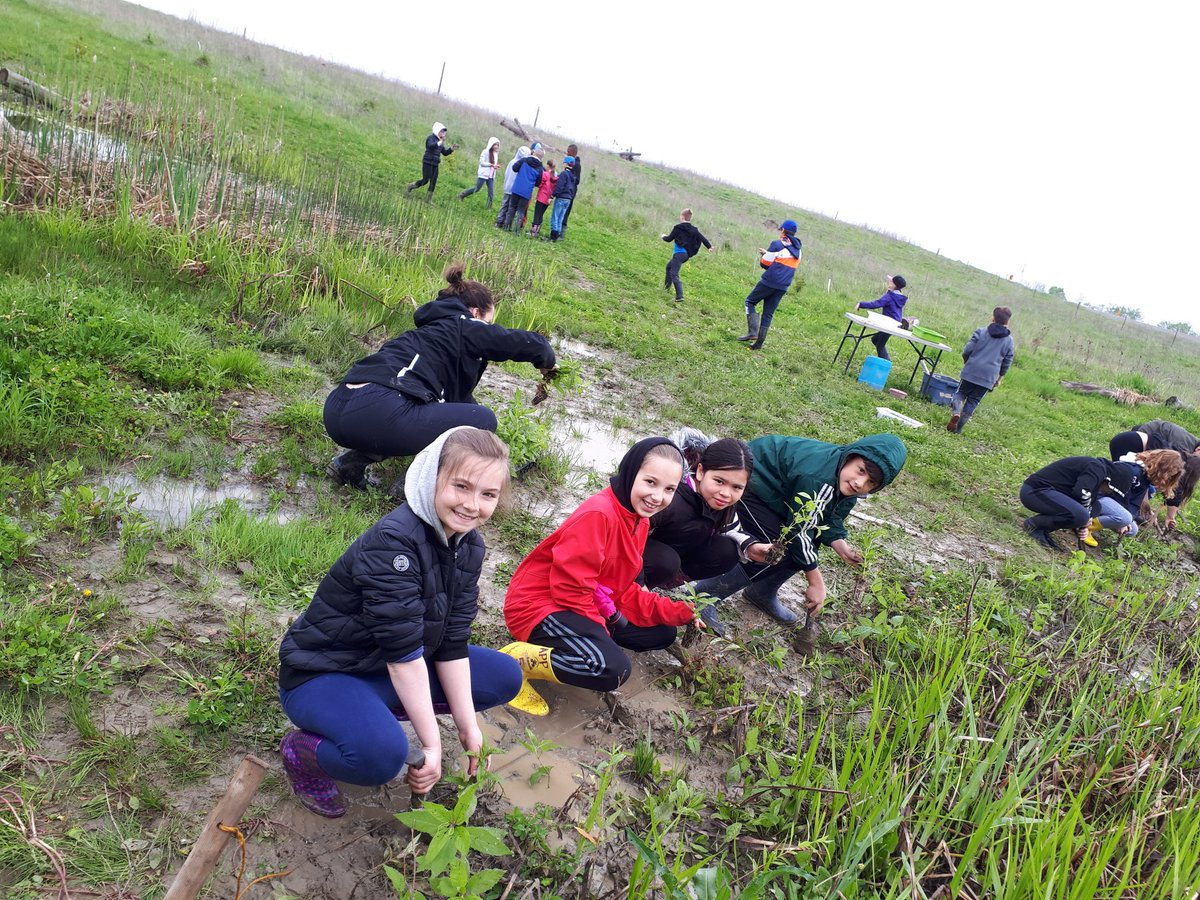 VanderdoelenMrs's tweet image. @EMPSEagles doing their part @TRCA_HQ restoration site #planting #birdwatching #structurebuilding .