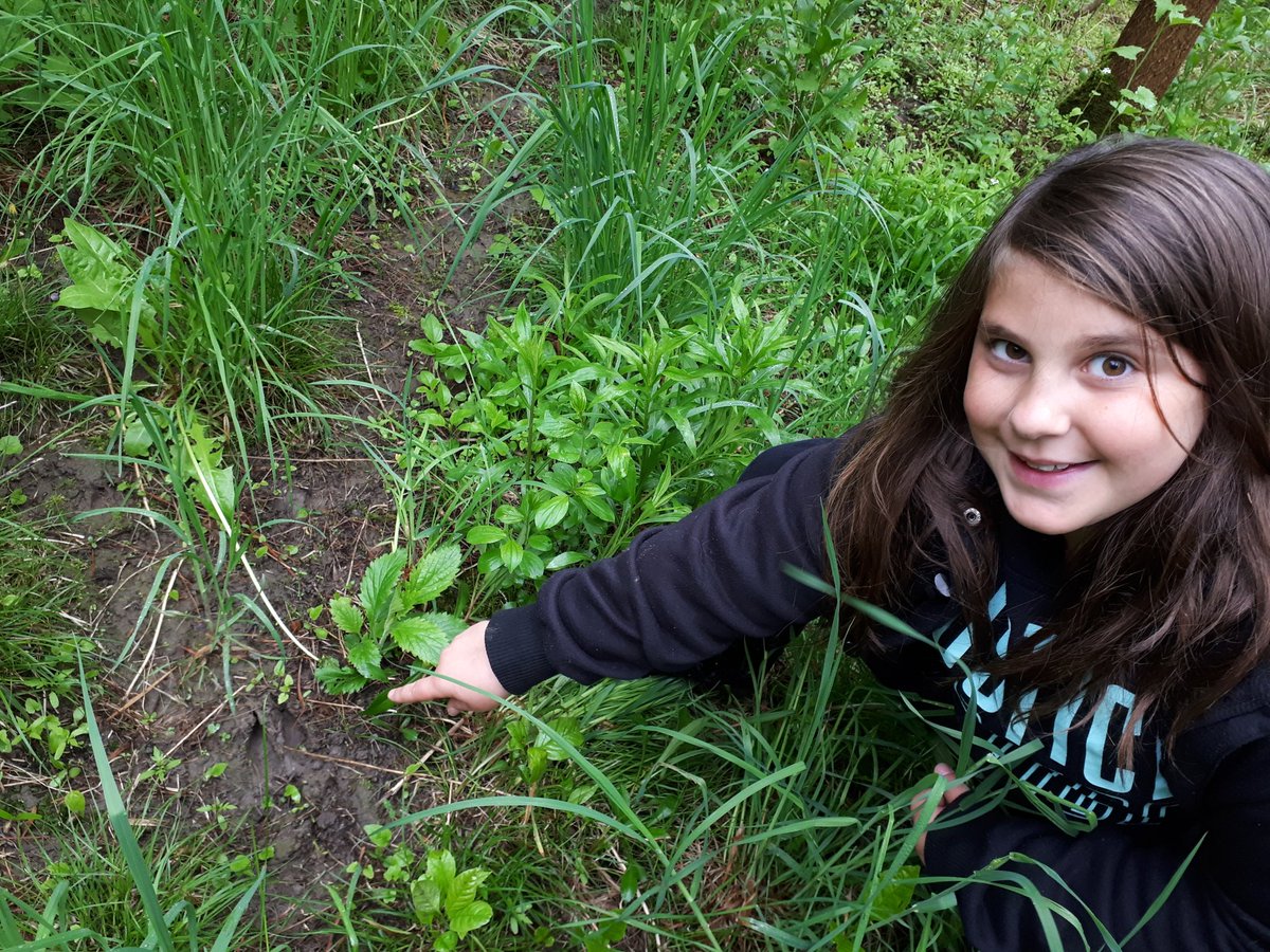 VanderdoelenMrs's tweet image. @EMPSEagles doing their part @TRCA_HQ restoration site #planting #birdwatching #structurebuilding .