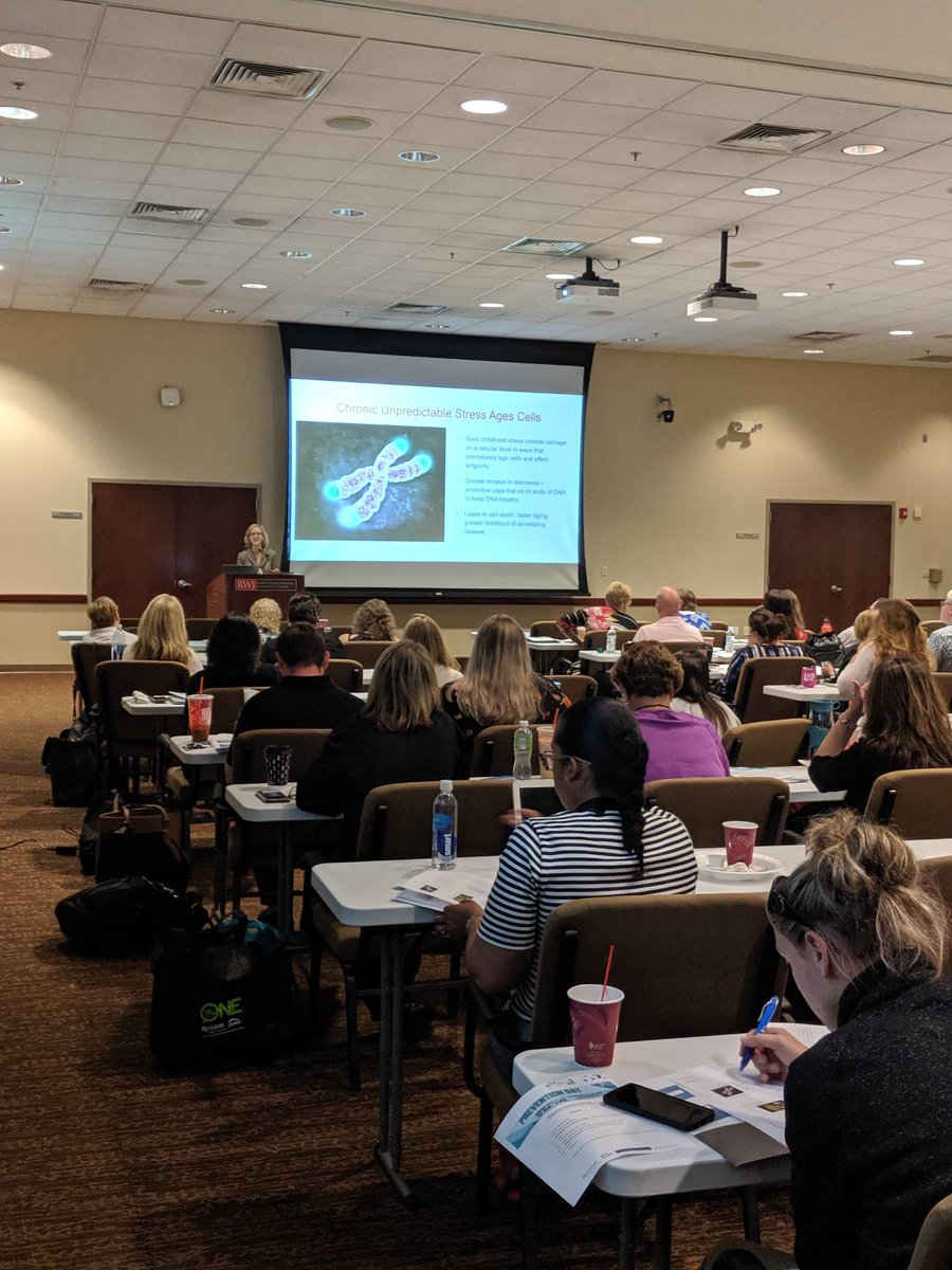 NJPN's tweet photo. Our Regional Coalition Prevention Day has started! We are grateful to have Donna Jackson Nakazawa here with us to explore more on Adverse Childhood Experiences (ACEs) and how it impacts our youth. #preventionstrong #preventionchampions https://t.co/x1Tg7H38pn
