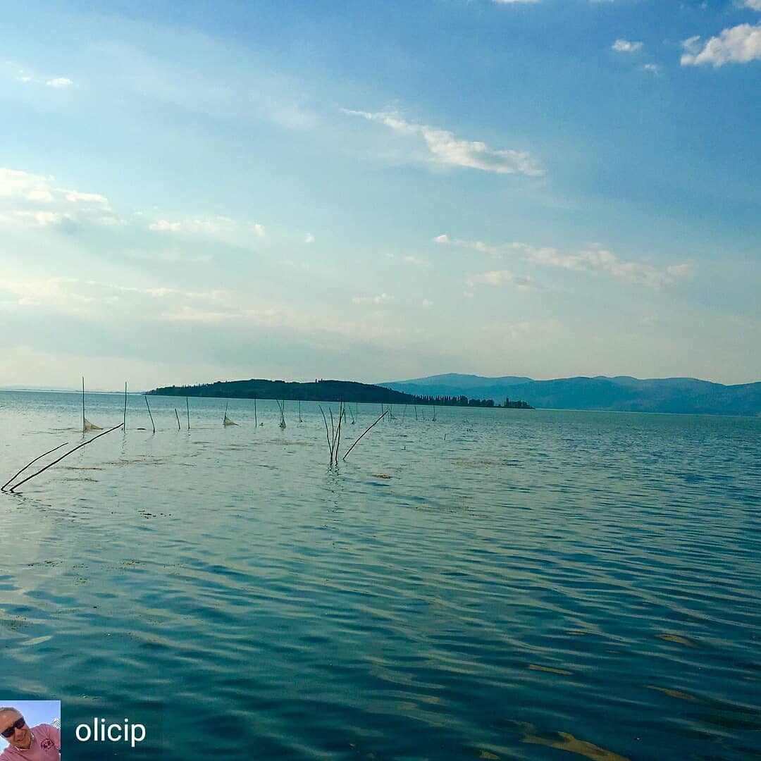 Isola_Polvese's tweet photo. from @OliCip - #labadia #ilmiolago #agillaetrasimeno #isolapolvese #umbria #polveserep https://t.co/fWSrMzfZAV
