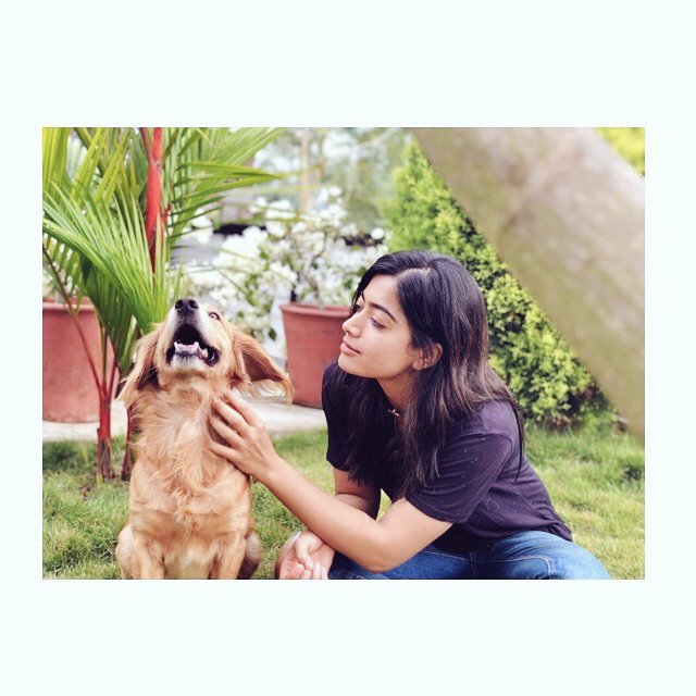 RashmikaTN's tweet photo. @iamRashmika mam I know you are a pet lover especially a dog lover and me too a dog lover..

Dog lovers have the most colorful minds and @iamRashmika do you agree??

Caring a dog always makes me stress free.

@iamRashmika mam please tell the names of your dogs 🐶 https://t.co/zpk19rZEoJ