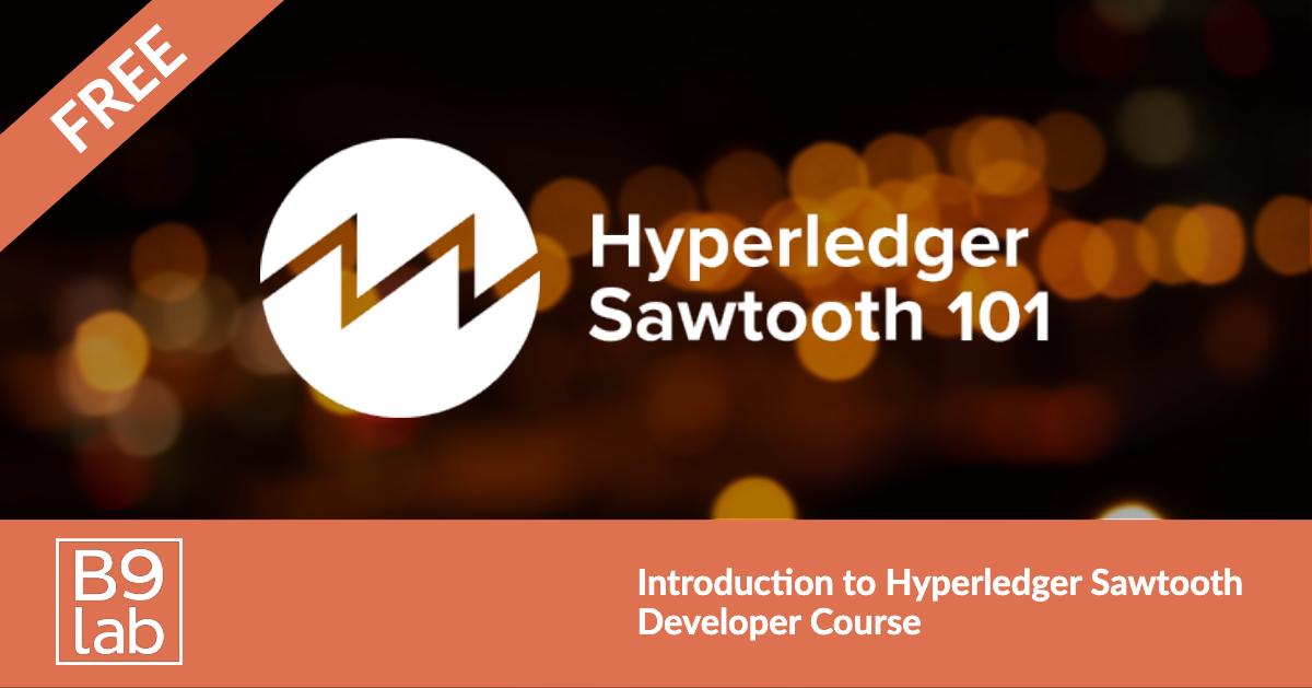 b9lab's tweet image. Check out the NEW online Hyperledger Sawtooth Developer FREE course from B9lab! Take your first step to become proficient with #blockchain and Hyperledger Sawtooth at bit.ly/2wtYE7e! #HyperledgerEd #developereducation