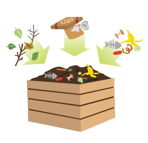 MissouriOrganic's tweet image. Be aware that you should never add these items to your compost. They include meat, bones, and fatty food waste, anything that was chemically treated, or diseased plants.
#compostingtips #funfacts