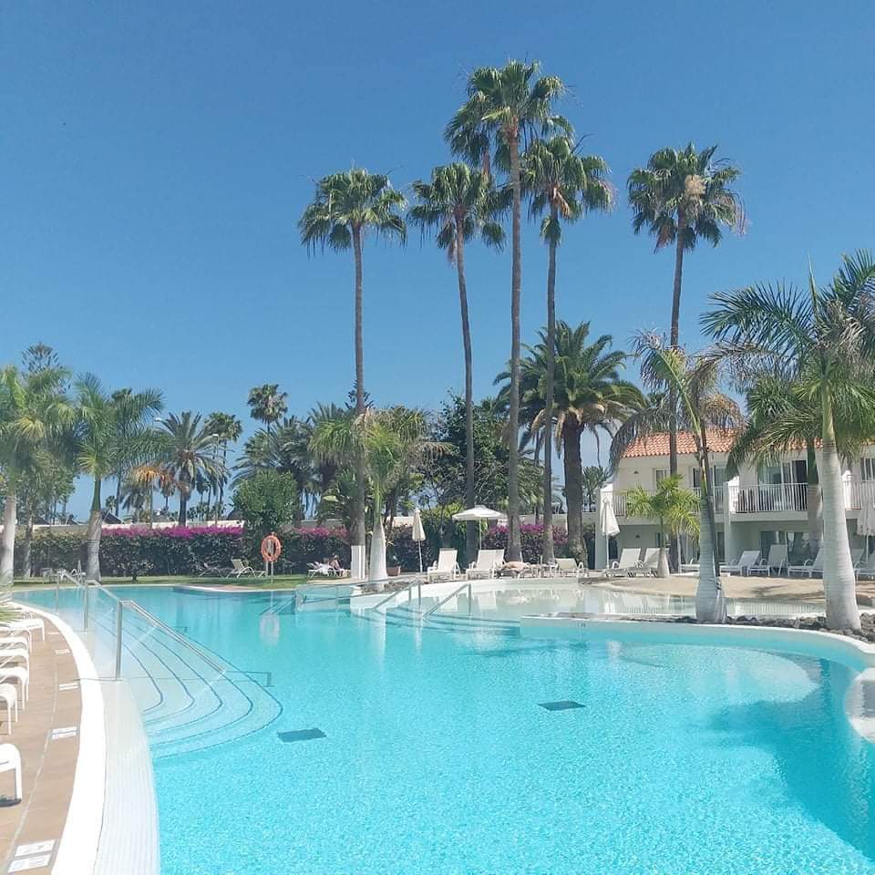 Danger_Raptor's tweet photo. Gesetteld @ Sunprime Atlantic View 8 dagen in ZEN modus. Groeten vanuit de Canarische Eilanden 😁🏝🏖👍🏻🌞🍻
#sunprime #holidays #holidaybreak #transavia #schiphol #summertime https://t.co/1ATESWrv0D