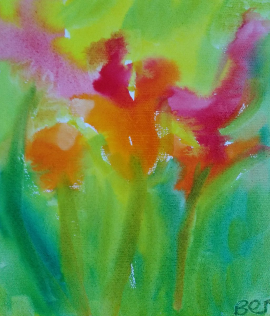 The Mount Camphill tweet media