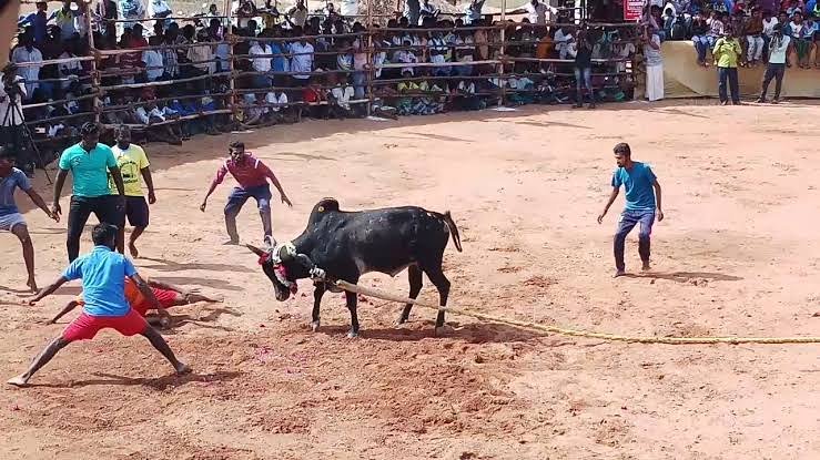 JALLIKATTUPL's tweet photo. People Who Strive to be Better than One another 

End Failing in Realising 

How Far the Best in them can Take them in Life.

#jpl #Jallikattu2019 #Jallikattu #ஜல்லிக்கட்டு #தமிழ் #தமிழ்தேசியம்  #TamilNadu #bull #native #farmer #natural #quotes https://t.co/W4ra8kD72U