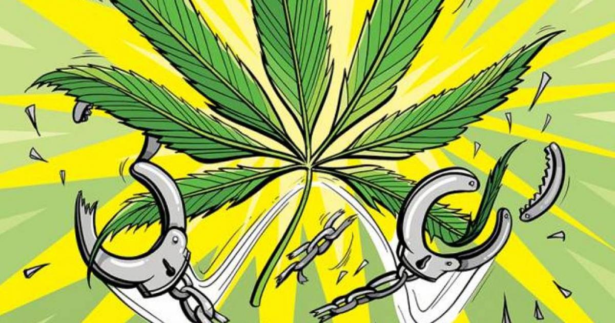 ¡Regulación ya! Editorial #258 vía <a href="/revistacanamo/">Revista Cáñamo</a> ow.ly/mlI750urHxM