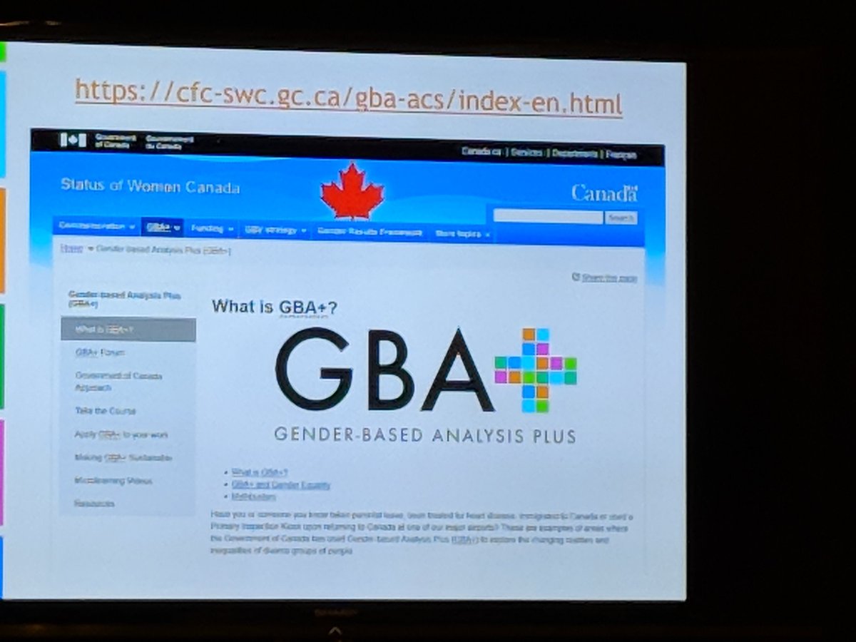 SandraPepera's tweet image. #Canada&apos;s new #genderanalysis tool #GBA+ launched at #OGP2019 #FOGO. &quot;It&apos;s not in search of perfection, but excellence in policy-making&quot;. Available now online.