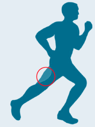 SMACLeuven's tweet photo. GEZOCHT: SPORTERS MET/ZONDER HAMSTRINGBLESSURE
in het kader van de studie 'Optimizing Return to sport after Hamstrings Injury'. https://t.co/LKzNEmf1CR #returntosport #hamstrings @UZLeuven @KULeuvenPT @stijnbog @ScienceJos https://t.co/dozZK49B6Y