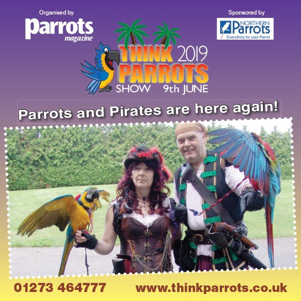 Parrots &amp; Pirates will be back! Yes, me hearties, come along &amp; have a swashbuckling time with the Pirates &amp; their Parrots – Inka &amp; Zeus.

Still time to buy advance tickets at £9 each from thinkparrots.co.uk/tickets.html or 01273 464777 or pay on the day, only £10 each, inc. Masterclasses