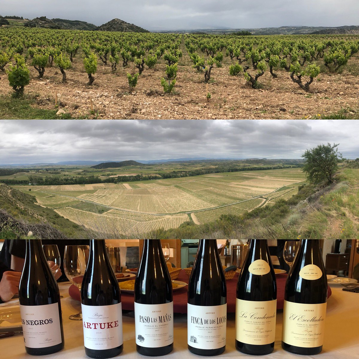 Standing at an altitude of 550m in a single-vineyard plot with chalk soils looking down at the sprawl in the valley below really makes you appreciate the high-quality potential of this wonderful region, even more so after tasting Arturo’s wonderful wines. #artukerioja