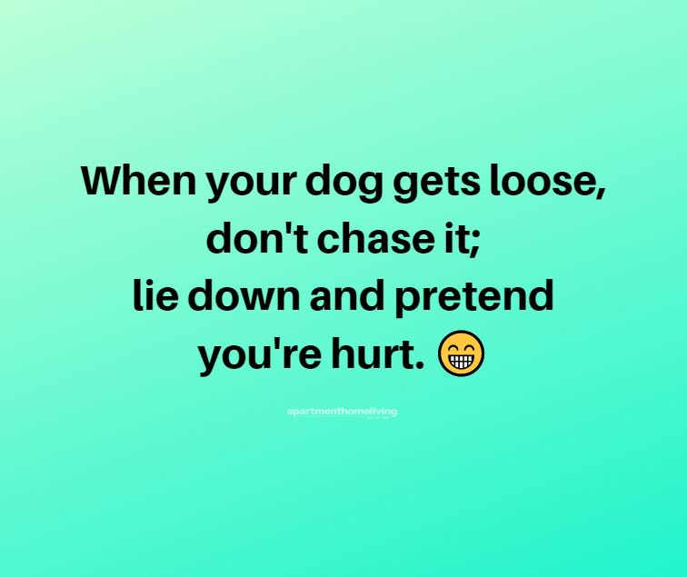 AptHomeLiving's tweet image. It works. #cheaptricks #apartmentlife