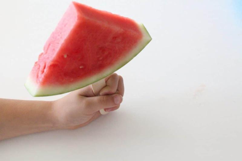 CalgaryLocavore's tweet photo. Have you checked this out? organic mini watermelon $3.99 at #FreshAndLocalFarmOutlet 17, 9250 Macleod Tr SE #yyceats #saveYourmoney #eatfresh #shoplocal #abopenforbusiness https://t.co/vlPTz6yfgK https://t.co/mlVNEEGhjA