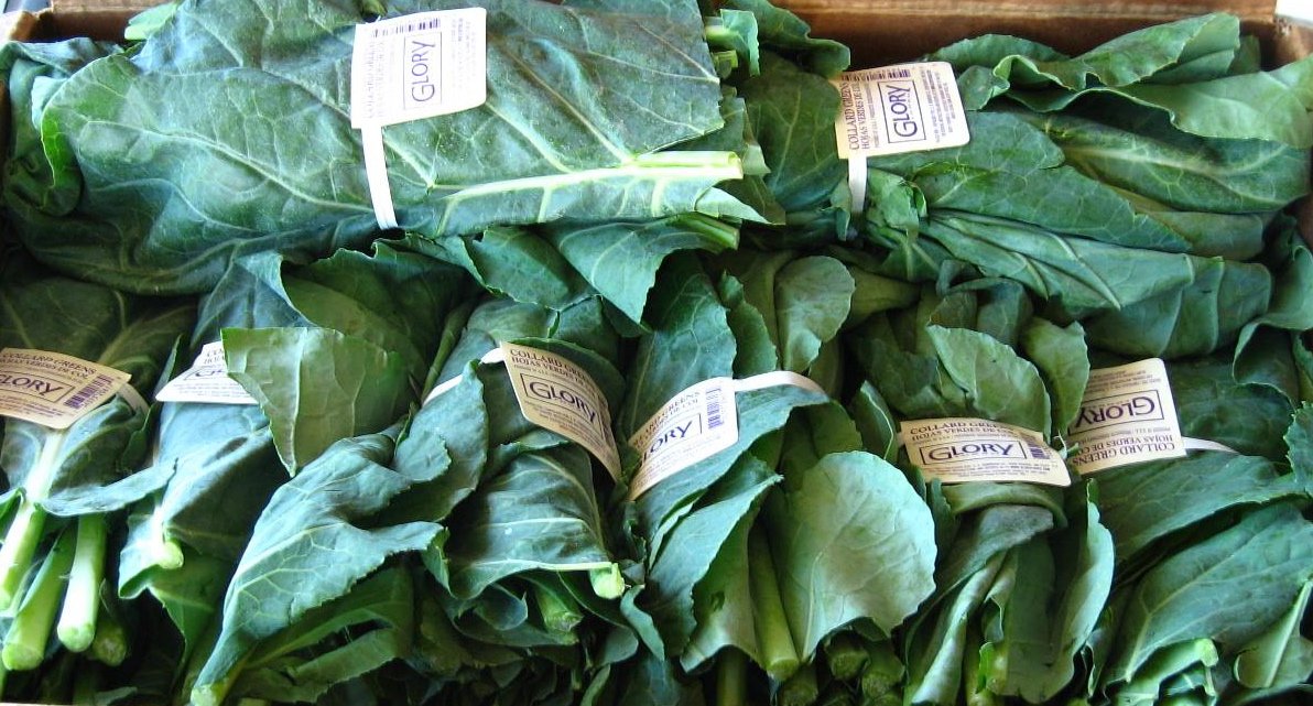 Couldn't agree more! RT <a href="/communityserv/">Community Servings</a>: We're movin' into one of our favorite times of year -- when seasonal produce is in abundance! See what's seasonal: seasonalfoodguide.org/massachusetts/…