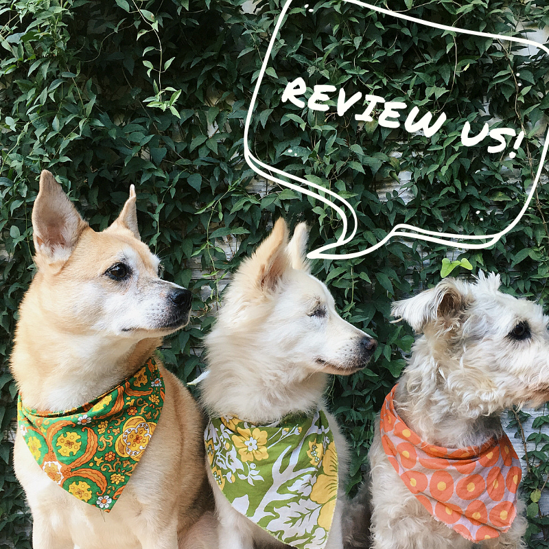 Our team works hard for our patients every day. If you loved the service you received, please leave a positive Facebook review ⭐⭐⭐⭐⭐   1l.ink/PBZ3B7F