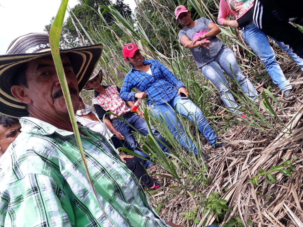 SER_CTMAE's tweet photo. #SENAEmprendeRural En municipios Yalí, Remedios y Vegachí, #NodesteAntioqueño, en dllo formaciones en #CañaPanelera realizamos prácticas toma de muestras de suelo para análisis en laboratorio.

@EstradaCarlosM @hernanfuentes @CarlosAGamba @acalderon1974 @Walterquiver @fcanogomez https://t.co/Zc5wmCEc9p