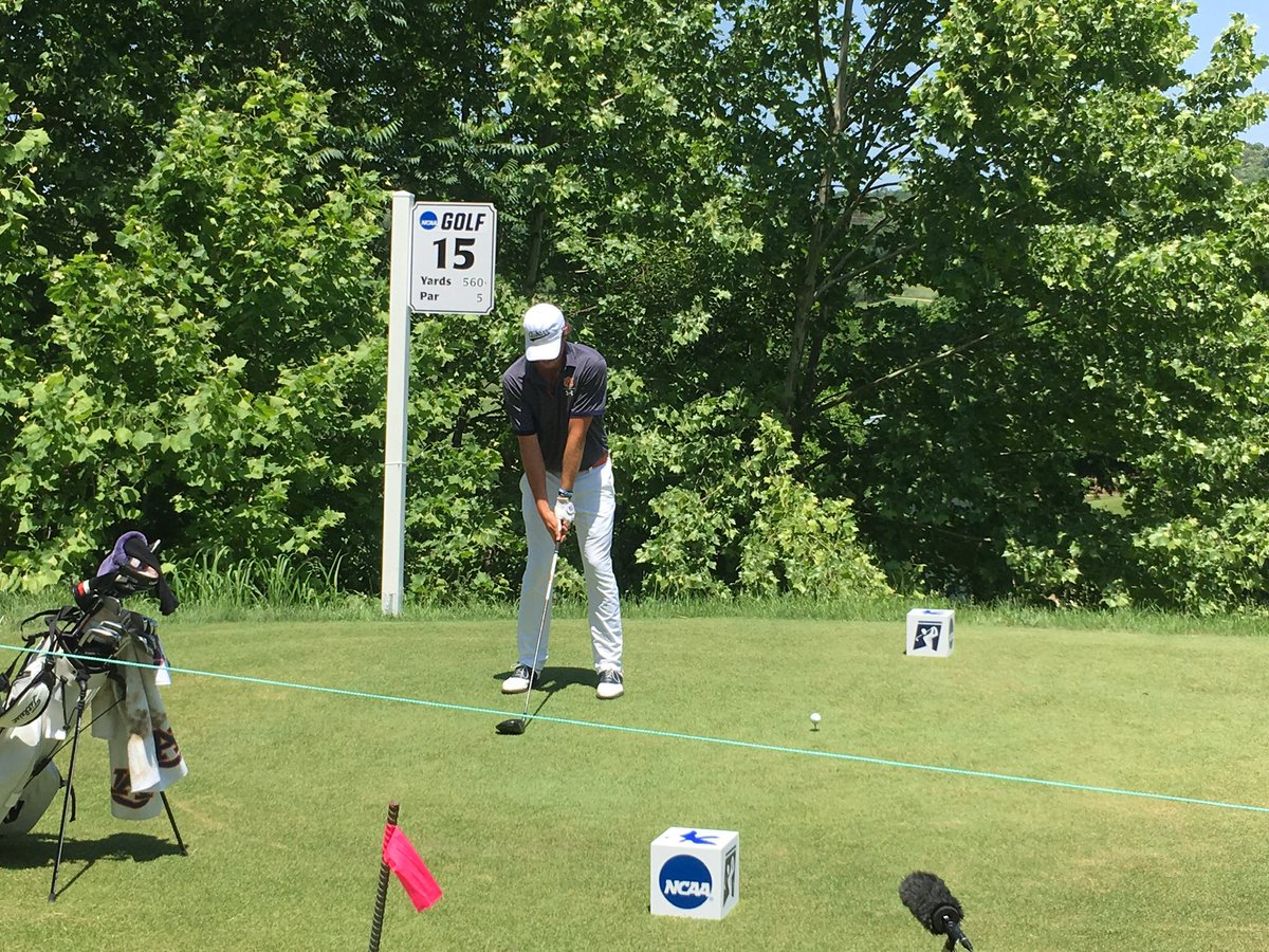 TigerFanInArkansas🤓 tweet media