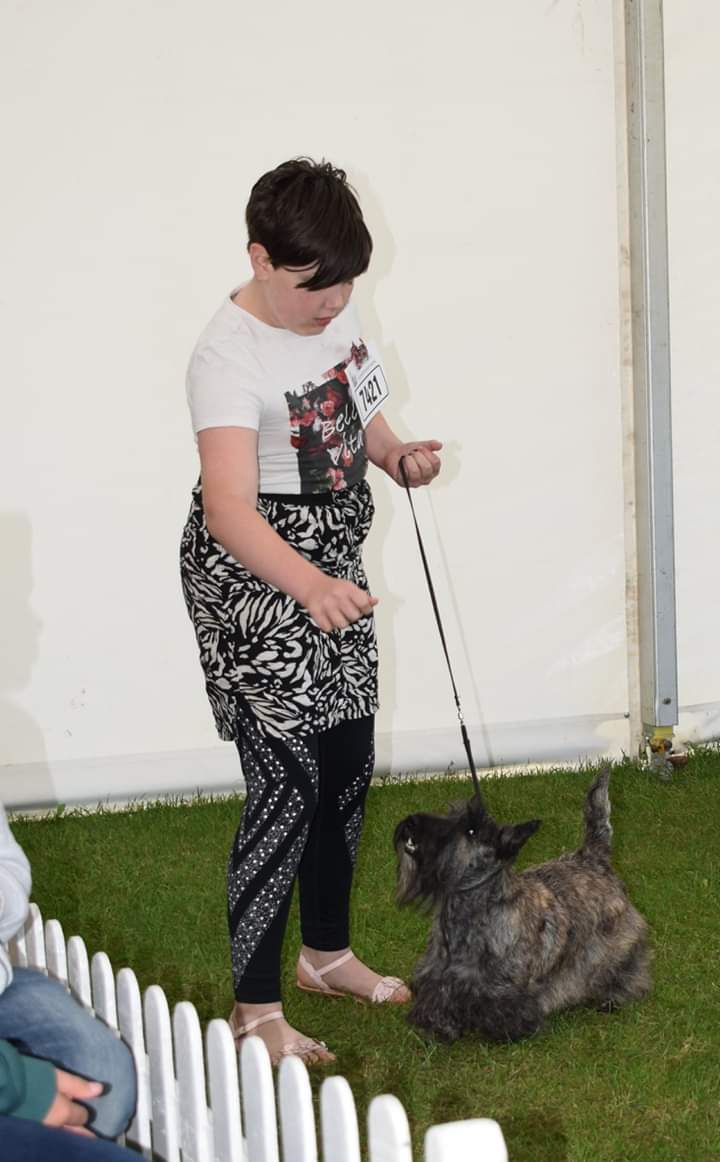 Lovely day at Bath Championship Show &amp; my girls did me proud. Mo (Divadell River Song) was 1st in Junior Bitch. Izzy (Divadell Izzy Whizzy) was 2nd in Limit Bitch.  Frances entered the YKC Stakes wasnt placed, but in the JHA handling was placed 3rd, very proud of her.