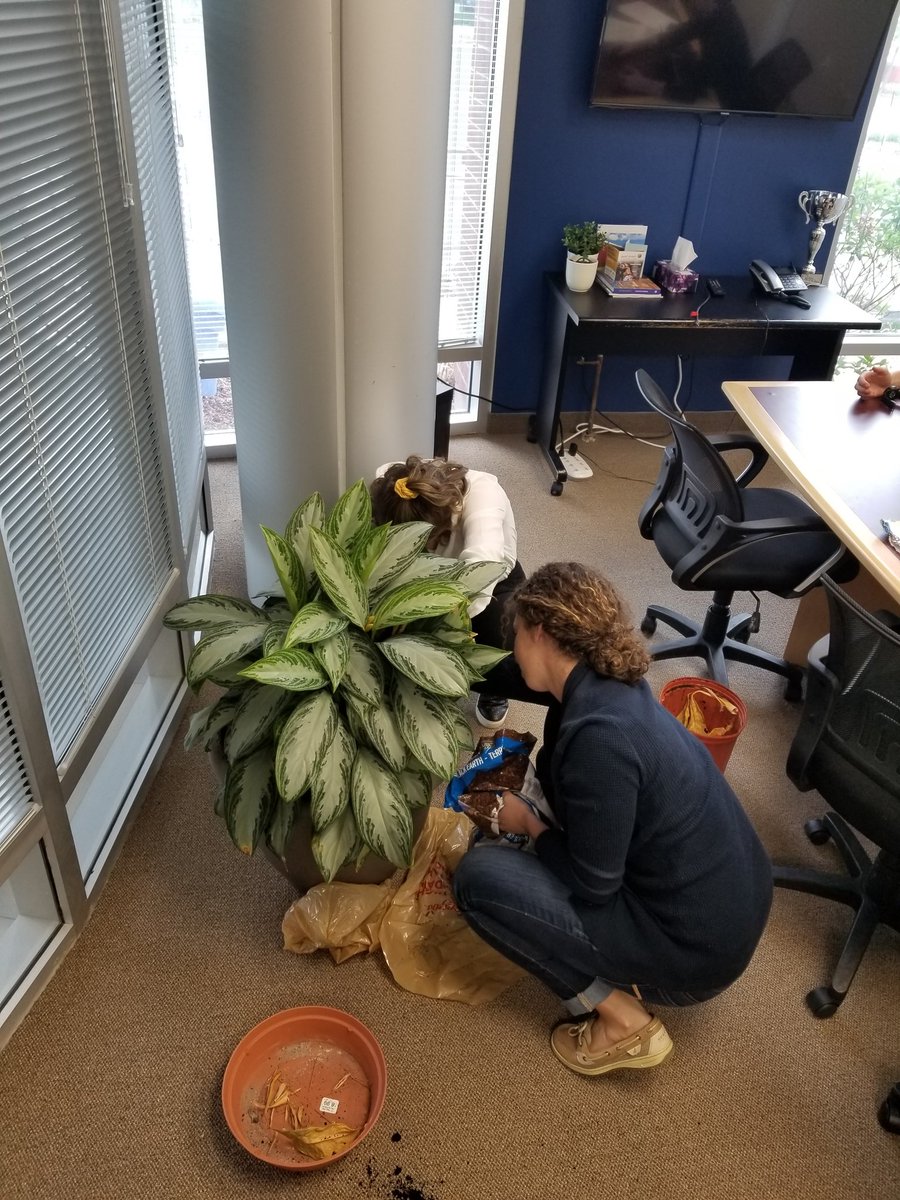 meganracey's tweet photo. Mid-week wins:
1. Repotting this thriving plant (est. 2017) that included #teamwork from picking the pot to replanting it #stressrelief!
2. Receiving the #compliment of the year by @SCSimpson3 - "that was a good boss moment" ๐
#lovemyteam #lovemyjob #WiltonGroup @WiltonConsult https://t.co/om5EExWj4i