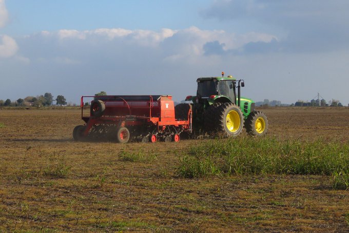 View image on Twitter