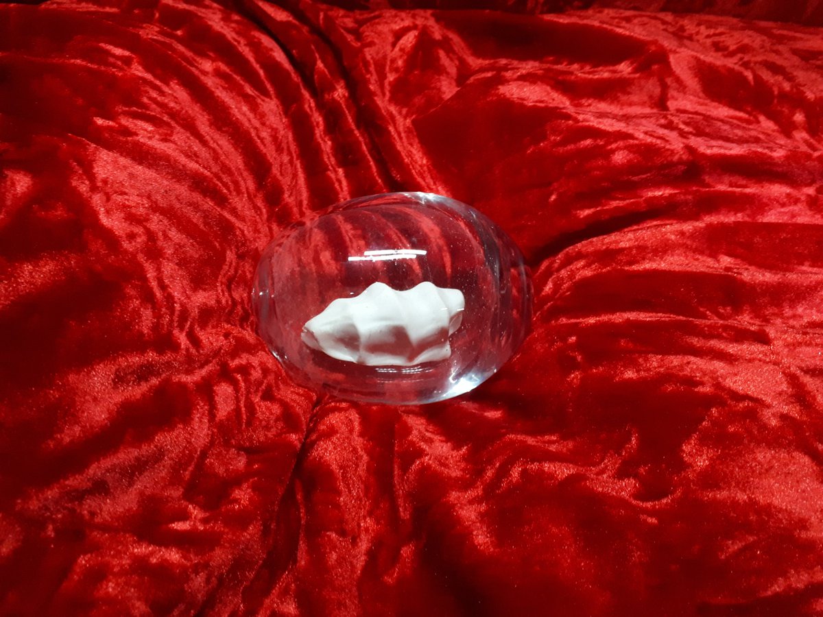 KhooLayla's tweet image. A few images from my assessment today 

#blownglass 
#glassandceramics
#rethinkceramics 
#cabinetofcuriosities