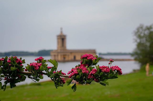 seekAnotherLife's tweet photo. Normanton church in colour and out of focus!
.
.
.
.
.
.
.
.
.
.
.
.
#photography #photooftheday #landscapephotography #landscape #createxplore #discoverearth #instatravel #instatravelling #igtravel #canon #canon_photos #canonphotography #pictureoftheday… https://t.co/7cJLicBRMc https://t.co/lMGizZkx8P