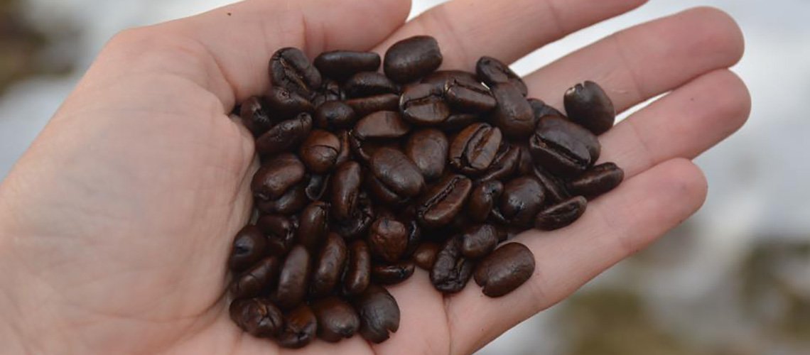 Cheyenne company brews recipe for success

tinyurl.com/y54e755y