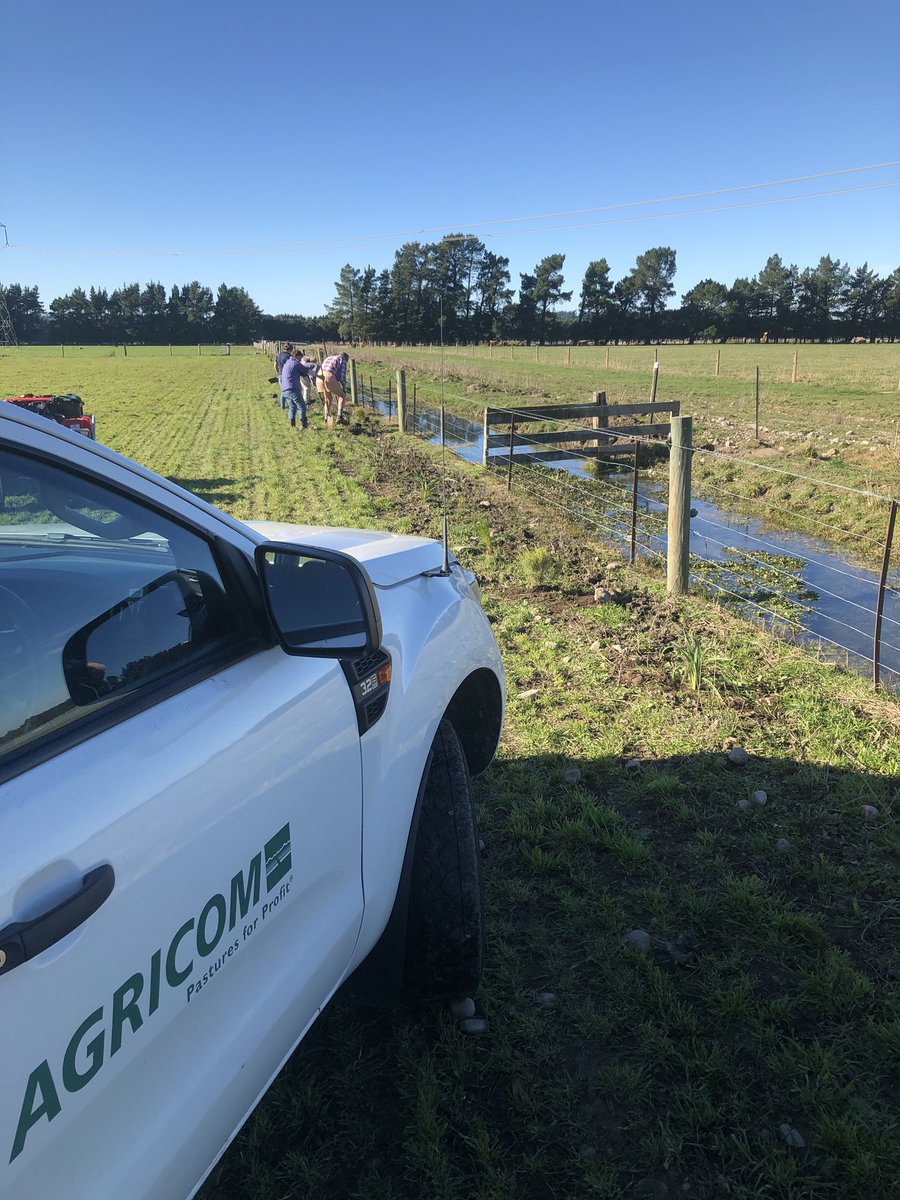 Riparian planting at Agricom’s “Marshdale farm” - doing our bit to keep both stock and soil on the right side of the fence