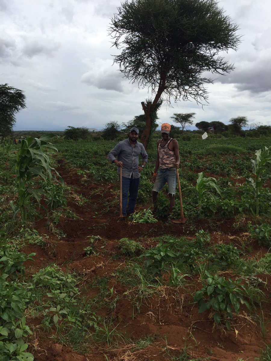 amin_maslah's tweet photo. The beauty of farming
Location:Kimana/Kajiado south
@CSAYouthNetwork
@iamVicmugo 
#youthinAg
#LetsGetFarming https://t.co/AV8yZlCbOY