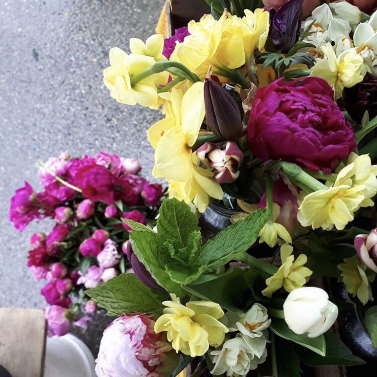 LockeStFarmersM's tweet photo. Looking forward to the beautiful and colourful blooms from @laprimaverafarm , especially on this overcast day! Catch them at market this Saturday! 

#supportlocke #livinlaprimavera #LPVFarms #flowers #blooms #farmersmarket #hamilton #spring #lockest #LSFM #supportlocke https://t.co/38fN92RXZX