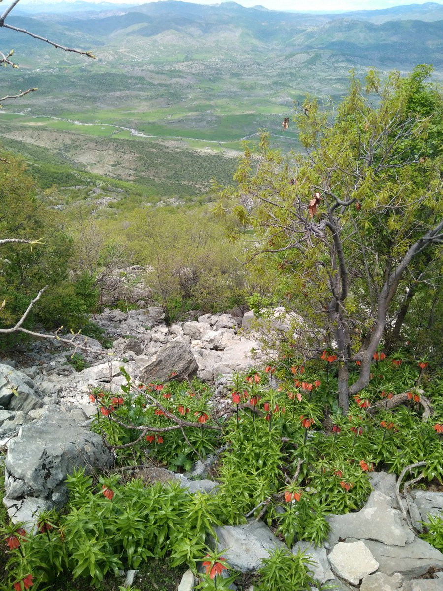 BUDA ... BİZİM DAĞLAR ✌✌✌👉