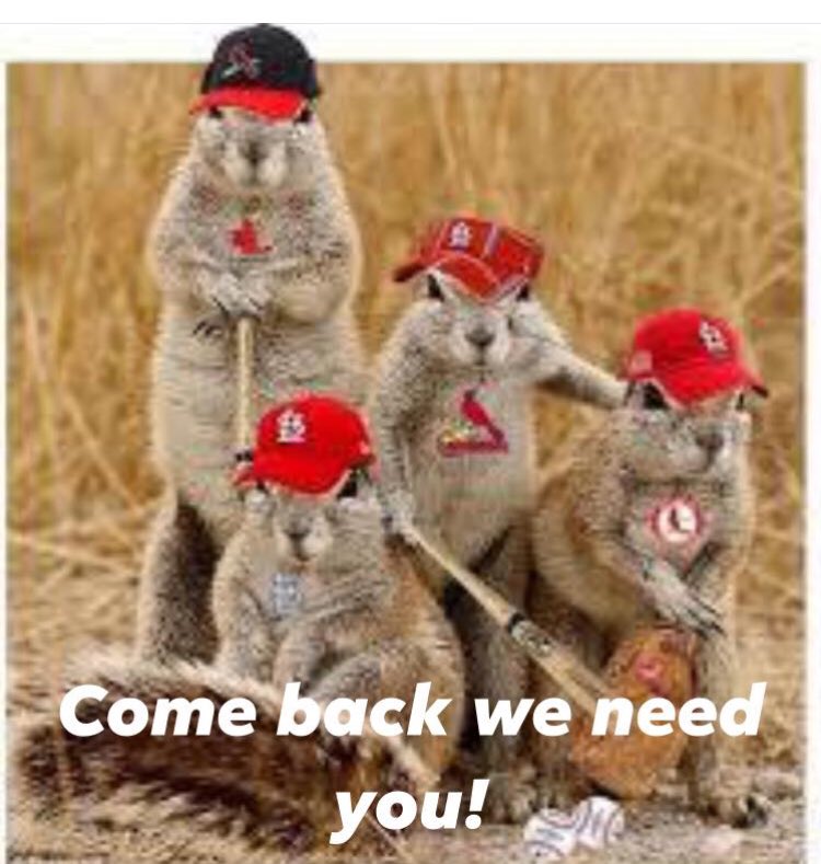 JerrySutterfie2's tweet image. 