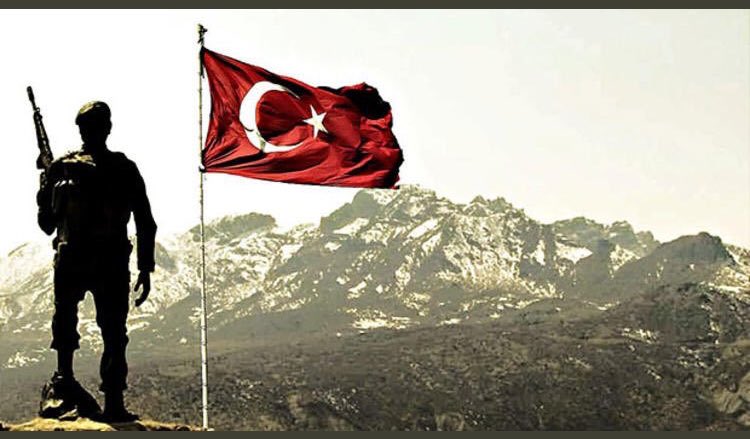 ŞESOB BİRLİK tweet media