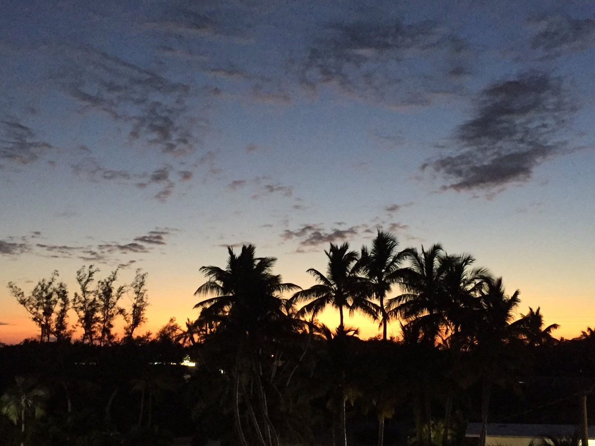 Patty Livingston tweet media