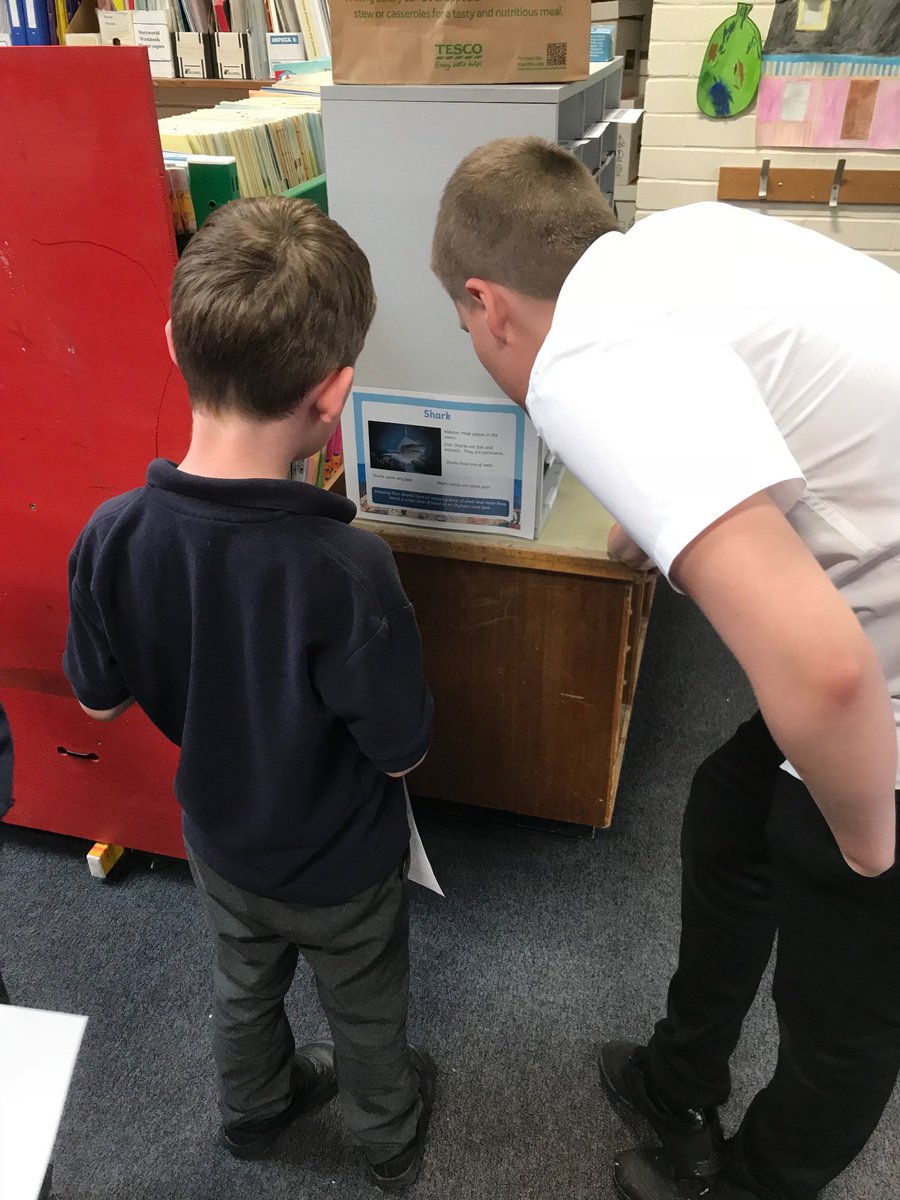 Ferryden Primary tweet media