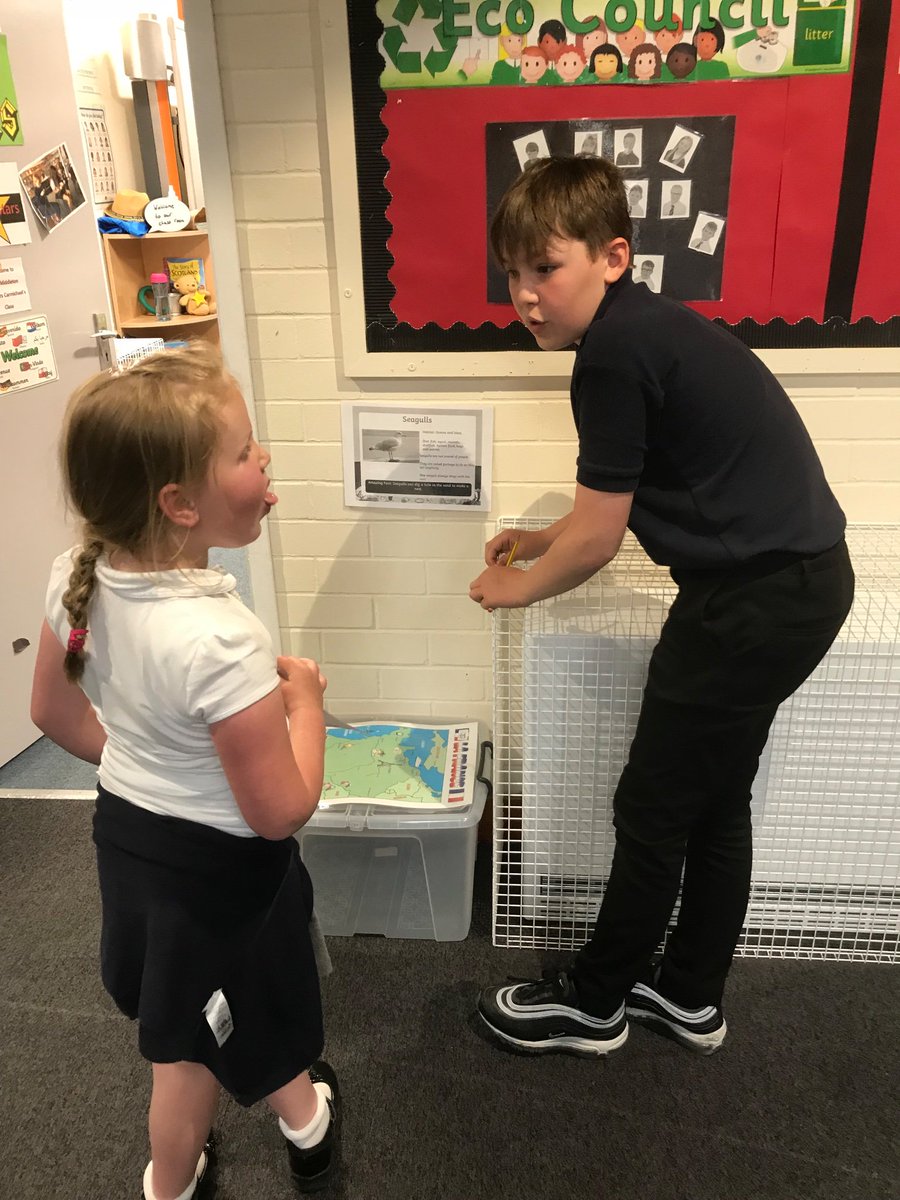 Ferryden Primary tweet media