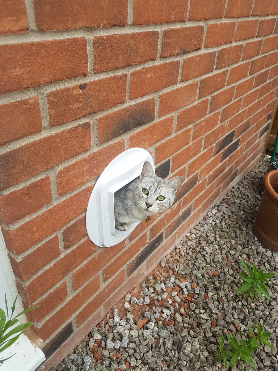 broken cat flap