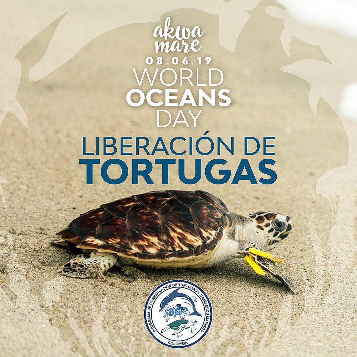 DaabonOrganics's tweet photo. El Grupo Daabon, se enorgullece en apoyar esta iniciativa liderada por @AkwaMare Una actividad que contribuye en la creación de conciencia, en torno al cuidado medio ambiente
#daabon #terlica #orgullosamario #limpiezadeplayas #liberaciondetortugas
#worldoceanday
@acuamundomarino https://t.co/qrrYmGOT3e