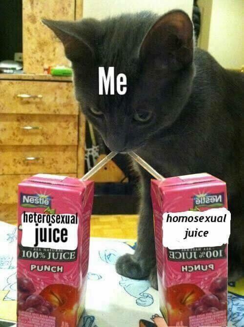 bisexualmemes's tweet photo. https://t.co/gvvEa4Dcjj