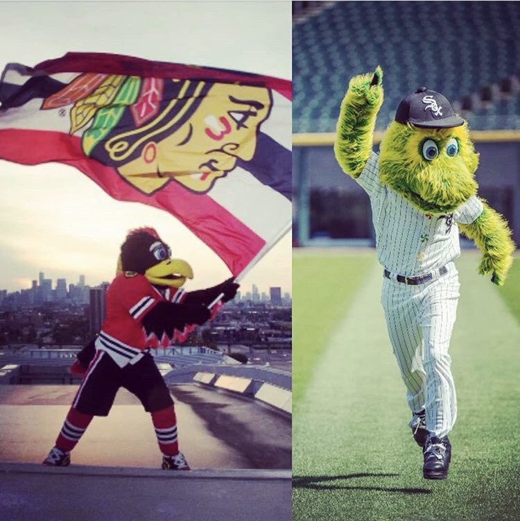ChiSurvivors's tweet photo. We are officially 8 days from race day!! Please register today! Prices go up in 1 day! @stridesforpeace is pleased to announce that @bhawktommyhawk &amp; @fuzzygreendude will be there to help cheer on the kids for their sprint! It’s going to be an amazing time!  #stridesforpeace https://t.co/emazXikYKk